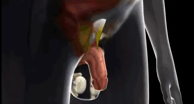 How To Improve Blood Flow Naturally (and Why It Matters)