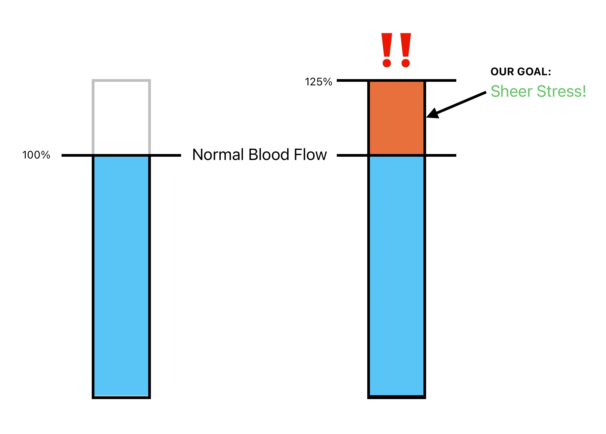The Science of Shear Stress: How VascuVive Unlocks Growth