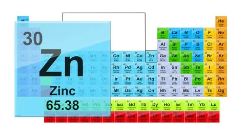 Foundational Nutrient Spotlight: Zinc